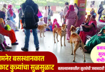 संगमनेर बसस्थानकात मोकाट कुत्र्यांचा सुळसुळाट