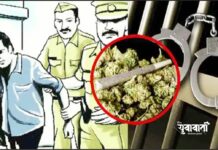 संगमनेर शहरात गांजाची तस्करी पुन्हा उघड