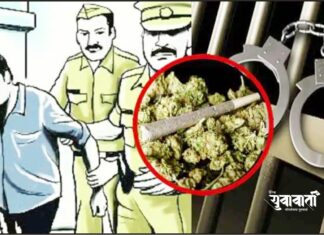 संगमनेर शहरात गांजाची तस्करी पुन्हा उघड