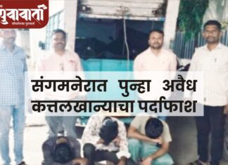 संगमनेरात पुन्हा अवैध कत्तलखान्याचा पर्दाफाश