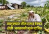 तालुक्यात तीन हजार हेक्टर शेती ‘अवकाळी’मुळे बाधित