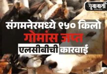 ९५० किलो गोमांस जप्त, एलसीबीची आठवड्यात चौथी मोठी कारवाई