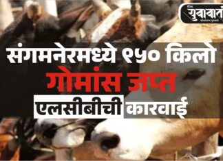 ९५० किलो गोमांस जप्त, एलसीबीची आठवड्यात चौथी मोठी कारवाई